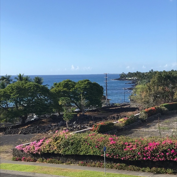 Meet your Posher, Kim - Picture 1 of 1